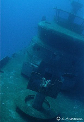 This photo was taken last year while diving off Nassau. T... by Steven Anderson 
